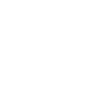 Coding Audits
